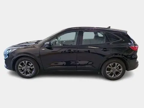 Used FORD KUGA Diesel 2023 Ad 