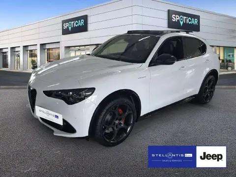 Used ALFA ROMEO STELVIO Petrol 2024 Ad 