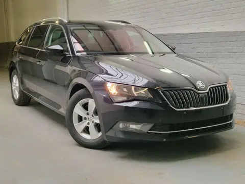 Annonce SKODA SUPERB Diesel 2019 d'occasion 