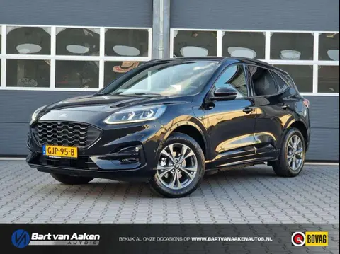 Annonce FORD KUGA Hybride 2023 d'occasion 