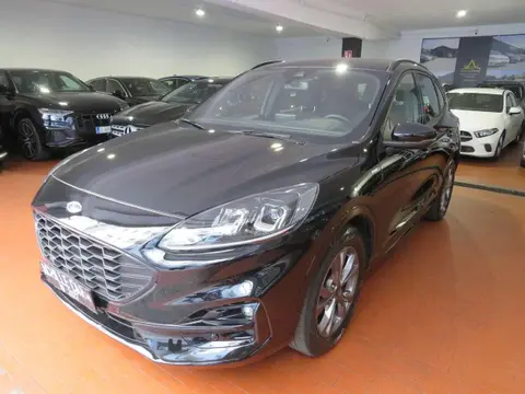 Used FORD KUGA Diesel 2022 Ad 