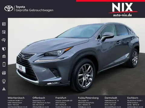 Used LEXUS NX Hybrid 2019 Ad 