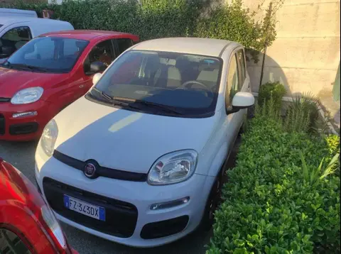 Annonce FIAT PANDA Essence 2019 d'occasion 