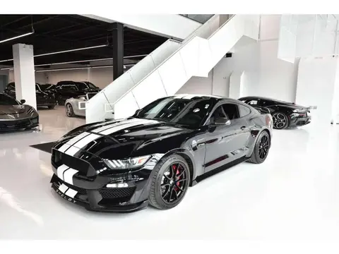 Annonce FORD MUSTANG Essence 2019 d'occasion 