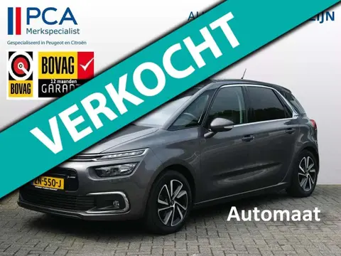 Used CITROEN C4 Petrol 2019 Ad 