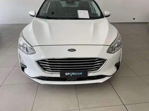 Used FORD FOCUS Diesel 2019 Ad 