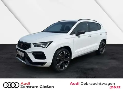 Annonce CUPRA ATECA Essence 2021 d'occasion 