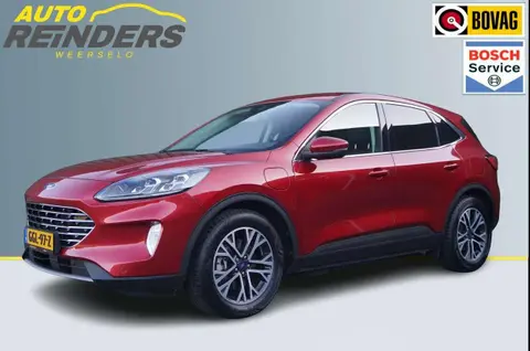 Used FORD KUGA Hybrid 2020 Ad 