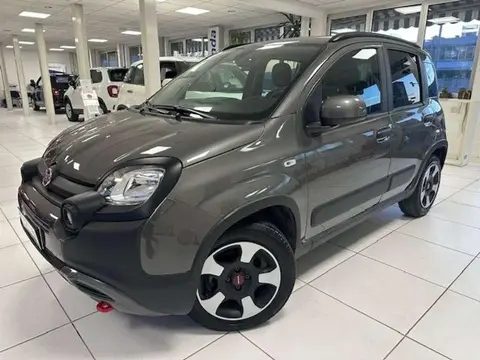 Used FIAT PANDA Hybrid 2023 Ad 