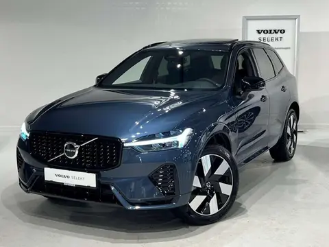 Annonce VOLVO XC60 Hybride 2023 d'occasion 