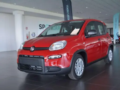 Annonce FIAT PANDA Hybride 2024 d'occasion 