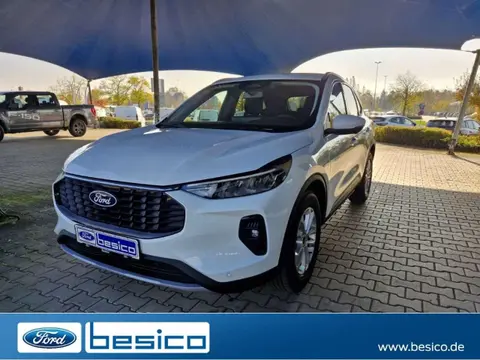 Annonce FORD KUGA Essence 2024 d'occasion 