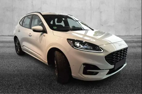 Annonce FORD KUGA Hybride 2020 d'occasion 