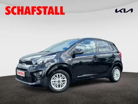 Used KIA PICANTO Petrol 2024 Ad 