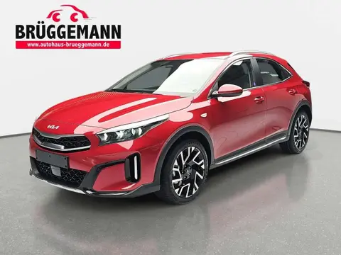 Annonce KIA XCEED Essence 2024 d'occasion 