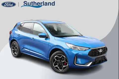 Annonce FORD KUGA Hybride 2024 d'occasion 