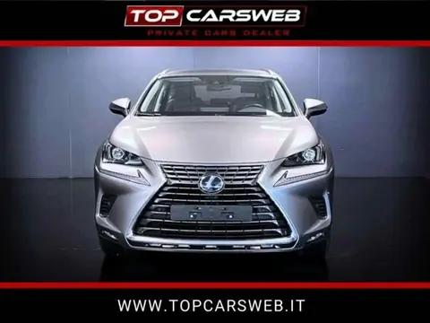 Used LEXUS NX Hybrid 2021 Ad 