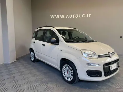 Used FIAT PANDA Petrol 2017 Ad 