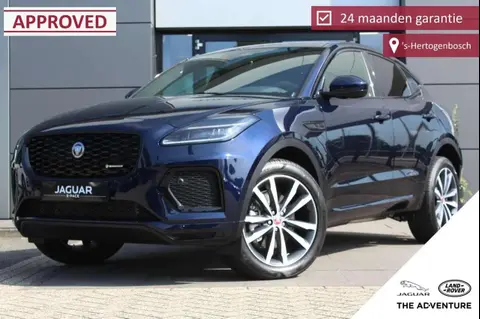 Used JAGUAR E-PACE Hybrid 2024 Ad 