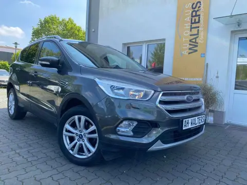 Annonce FORD KUGA Essence 2019 d'occasion 