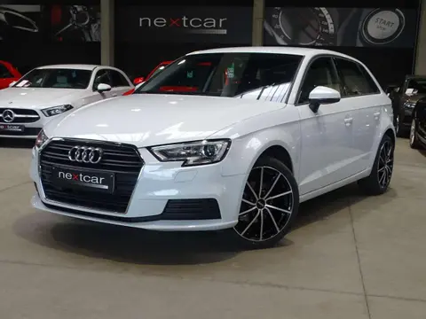 Annonce AUDI A3 Diesel 2019 d'occasion 