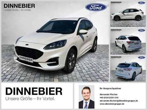 Annonce FORD KUGA Hybride 2021 d'occasion 