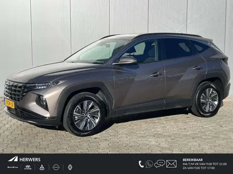 Used HYUNDAI TUCSON Hybrid 2021 Ad 