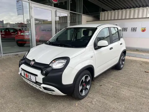 Used FIAT PANDA Petrol 2024 Ad 