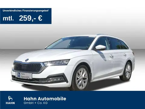 Annonce SKODA OCTAVIA Diesel 2021 d'occasion 