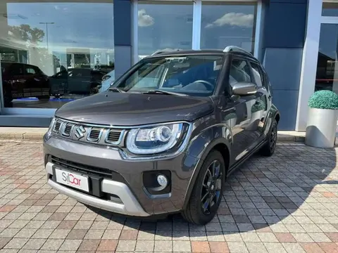 Annonce SUZUKI IGNIS Hybride 2021 d'occasion 