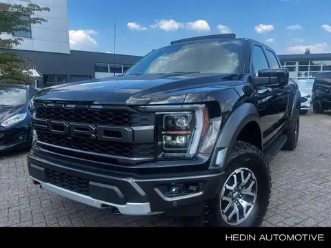 Annonce FORD F150 Essence 2024 d'occasion 