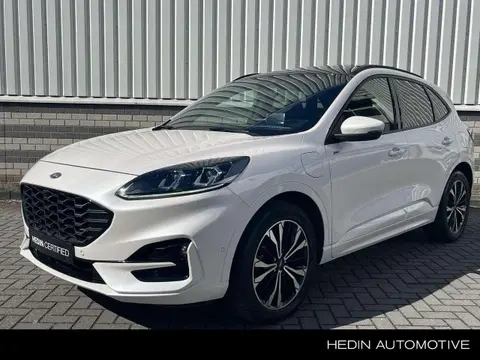 Used FORD KUGA Hybrid 2021 Ad 