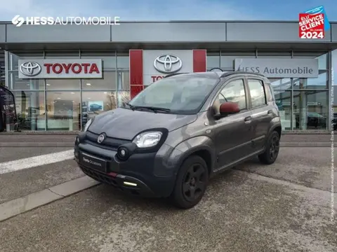 Annonce FIAT PANDA Essence 2019 d'occasion 