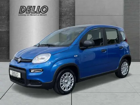 Annonce FIAT PANDA Essence 2024 d'occasion 