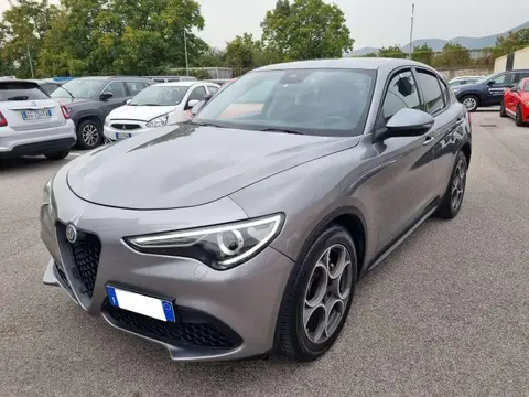 Used ALFA ROMEO STELVIO Diesel 2019 Ad 