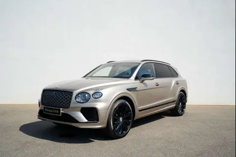 Used BENTLEY BENTAYGA Petrol 2024 Ad 