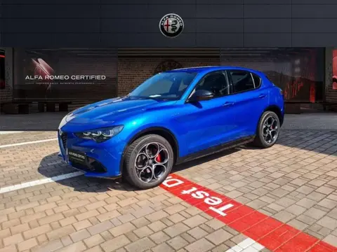 Used ALFA ROMEO STELVIO Petrol 2023 Ad 