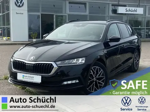 Used SKODA OCTAVIA Petrol 2021 Ad 