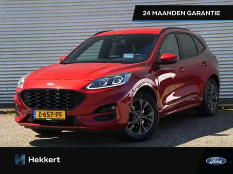 Annonce FORD KUGA Essence 2020 d'occasion 