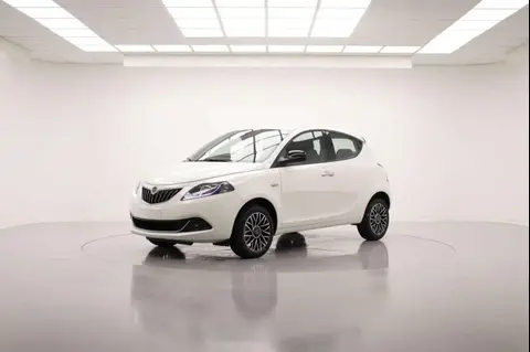 Used LANCIA YPSILON Hybrid 2024 Ad 