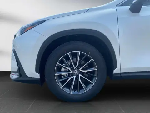 Used LEXUS NX Hybrid 2024 Ad 