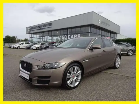 Used JAGUAR XE Petrol 2016 Ad 