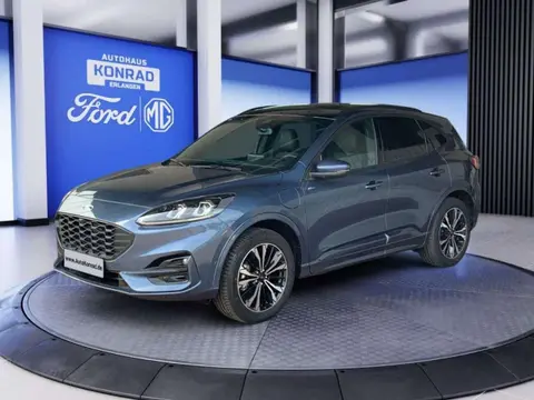 Annonce FORD KUGA Hybride 2024 d'occasion 