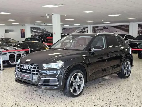 Used AUDI Q5 Diesel 2017 Ad 