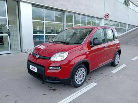 Annonce FIAT PANDA Hybride 2024 d'occasion 