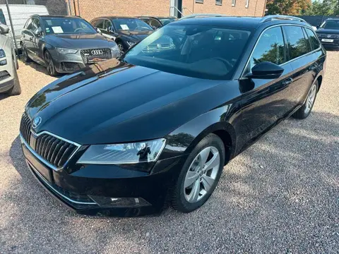 Annonce SKODA SUPERB Diesel 2016 d'occasion 