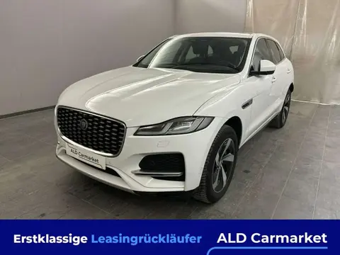 Used JAGUAR F-PACE Diesel 2021 Ad 