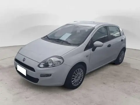 Annonce FIAT PUNTO Essence 2015 d'occasion 