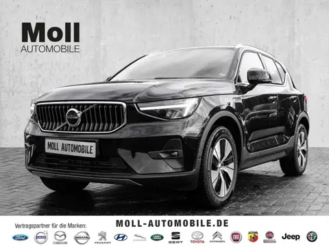 Used VOLVO XC40 Hybrid 2023 Ad 