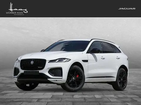 Annonce JAGUAR F-PACE Diesel 2024 d'occasion 